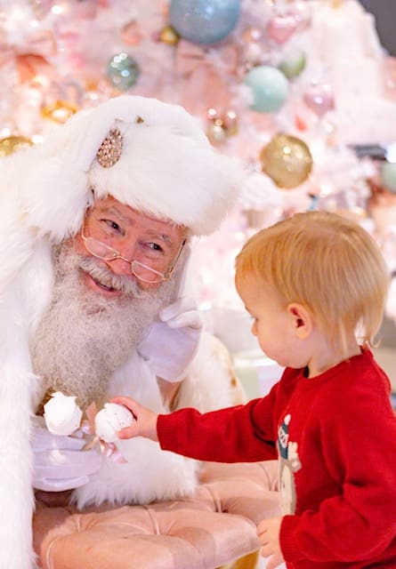 Christmas photos Baltimore