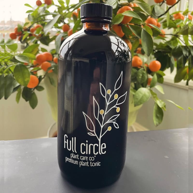 gss-bloom-fullcircle